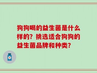 狗狗喝的益生菌是什么样的？挑选适合狗狗的益生菌品牌和种类？