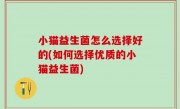 小猫益生菌怎么选择好的(如何选择优质的小猫益生菌)