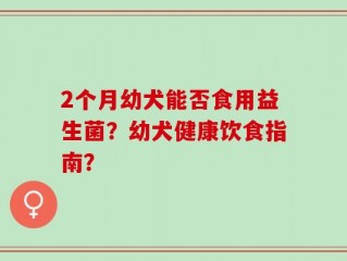 2个月幼犬能否食用益生菌？幼犬健康饮食指南？