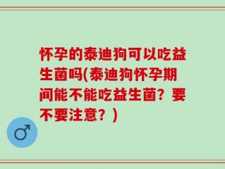 怀孕的泰迪狗可以吃益生菌吗(泰迪狗怀孕期间能不能吃益生菌？要不要注意？)