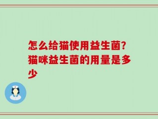 怎么给猫使用益生菌？猫咪益生菌的用量是多少