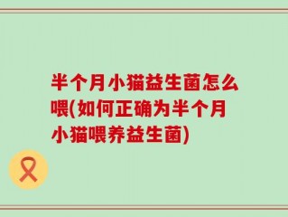半个月小猫益生菌怎么喂(如何正确为半个月小猫喂养益生菌)
