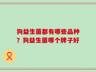 狗益生菌都有哪些品种？狗益生菌哪个牌子好