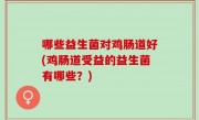 哪些益生菌对鸡肠道好(鸡肠道受益的益生菌有哪些？)