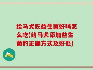 给马犬吃益生菌好吗怎么吃(给马犬添加益生菌的正确方式及好处)
