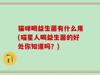 猫咪喝益生菌有什么用(喵星人喝益生菌的好处你知道吗？)