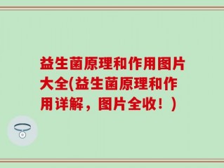 益生菌原理和作用图片大全(益生菌原理和作用详解，图片全收！)
