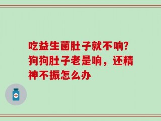 吃益生菌肚子就不响？狗狗肚子老是响，还精神不振怎么办