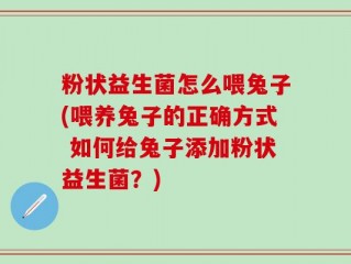 粉状益生菌怎么喂兔子(喂养兔子的正确方式 如何给兔子添加粉状益生菌？)