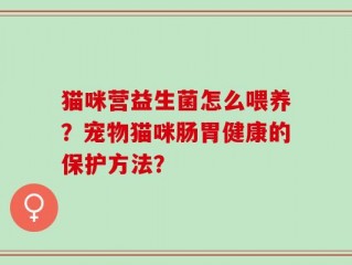 猫咪营益生菌怎么喂养？宠物猫咪肠胃健康的保护方法？