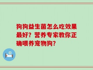 狗狗益生菌怎么吃效果最好？营养专家教你正确喂养宠物狗？