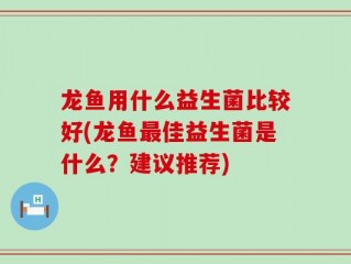 龙鱼用什么益生菌比较好(龙鱼最佳益生菌是什么？建议推荐)