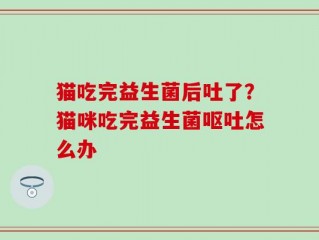猫吃完益生菌后吐了？猫咪吃完益生菌呕吐怎么办