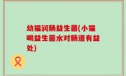 幼猫润肠益生菌(小猫喝益生菌水对肠道有益处)