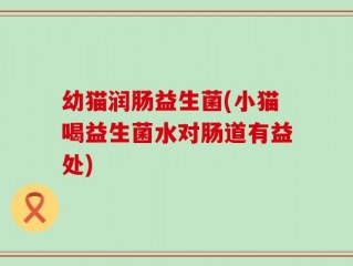 幼猫润肠益生菌(小猫喝益生菌水对肠道有益处)