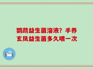 鹦鹉益生菌溶液？手养玄凤益生菌多久喂一次