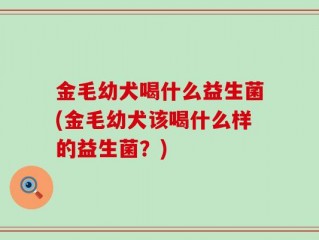 金毛幼犬喝什么益生菌(金毛幼犬该喝什么样的益生菌？)