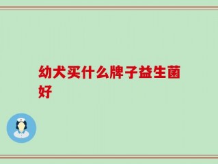 幼犬买什么牌子益生菌好