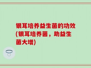 银耳培养益生菌的功效(银耳培养菌，助益生菌大增)