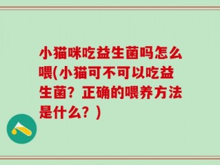 小猫咪吃益生菌吗怎么喂(小猫可不可以吃益生菌？正确的喂养方法是什么？)