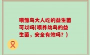 喂雏鸟大人吃的益生菌可以吗(喂养幼鸟的益生菌，安全有效吗？)