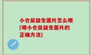 小仓鼠益生菌片怎么喂(喂小仓鼠益生菌片的正确方法)