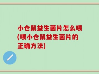 小仓鼠益生菌片怎么喂(喂小仓鼠益生菌片的正确方法)