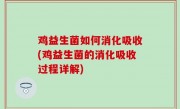 鸡益生菌如何消化吸收(鸡益生菌的消化吸收过程详解)