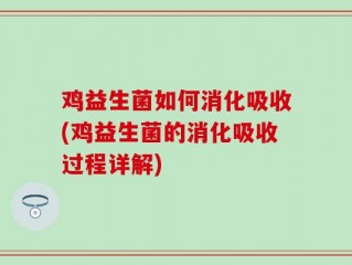 鸡益生菌如何消化吸收(鸡益生菌的消化吸收过程详解)