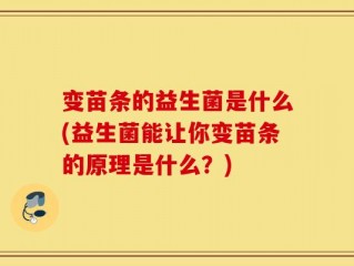 变苗条的益生菌是什么(益生菌能让你变苗条的原理是什么？)