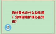 狗吐黄水吃什么益生菌？宠物健康护理必备知识？