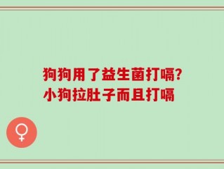 狗狗用了益生菌打嗝？小狗拉肚子而且打嗝