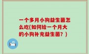 一个多月小狗益生菌怎么吃(如何给一个月大的小狗补充益生菌？)