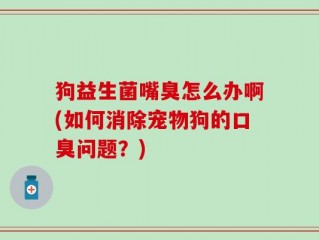 狗益生菌嘴臭怎么办啊(如何消除宠物狗的口臭问题？)