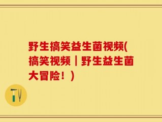 野生搞笑益生菌视频(搞笑视频｜野生益生菌大冒险！)