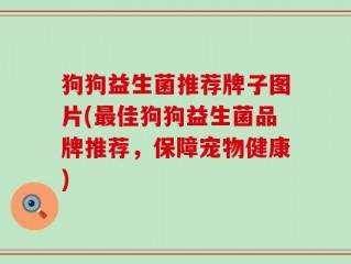 狗狗益生菌推荐牌子图片(最佳狗狗益生菌品牌推荐，保障宠物健康)