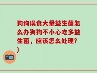 狗狗误食大量益生菌怎么办狗狗不小心吃多益生菌，应该怎么处理？)