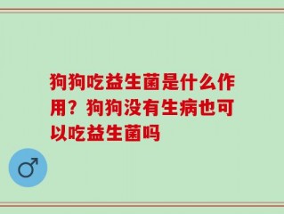 狗狗吃益生菌是什么作用？狗狗没有生病也可以吃益生菌吗