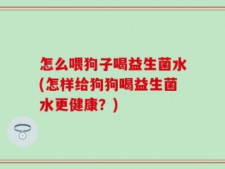 怎么喂狗子喝益生菌水(怎样给狗狗喝益生菌水更健康？)