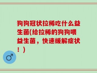 狗狗冠状拉稀吃什么益生菌(给拉稀的狗狗喂益生菌，快速缓解症状！)