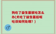 狗吃了益生菌就吐怎么办(犬吃了益生菌后呕吐该如何处理？)