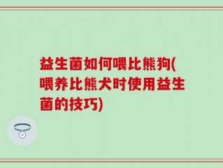 益生菌如何喂比熊狗(喂养比熊犬时使用益生菌的技巧)