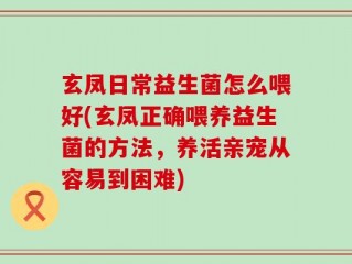 玄凤日常益生菌怎么喂好(玄凤正确喂养益生菌的方法，养活亲宠从容易到困难)