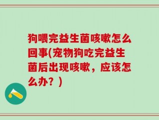 狗喂完益生菌咳嗽怎么回事(宠物狗吃完益生菌后出现咳嗽，应该怎么办？)