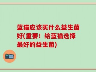 蓝猫应该买什么益生菌好(重要！给蓝猫选择最好的益生菌)