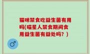 猫咪禁食吃益生菌有用吗(喵星人禁食期间食用益生菌有益处吗？)