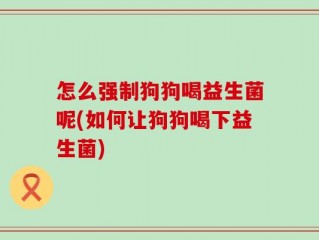 怎么强制狗狗喝益生菌呢(如何让狗狗喝下益生菌)
