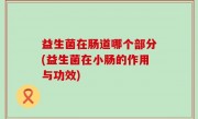 益生菌在肠道哪个部分(益生菌在小肠的作用与功效)