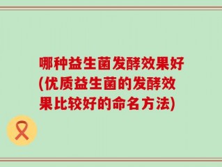 哪种益生菌发酵效果好(优质益生菌的发酵效果比较好的命名方法)