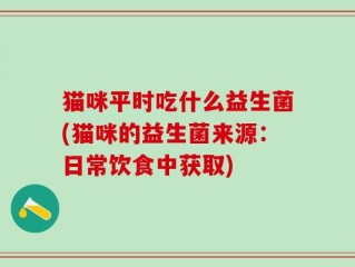 猫咪平时吃什么益生菌(猫咪的益生菌来源：日常饮食中获取)